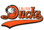 Long Island Ducks Baseball