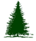Evergreen AES Environmental Services