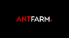 Ant Farm