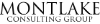 Montlake Consulting Group