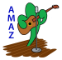 AMAZ Entertainment and Radio