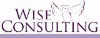 Wise Consulting Associates