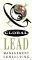 Global Lead Management Consulting