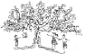 ABA Outreach Services