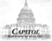 Capitol Real Estate Services