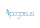 Pegasus Group