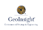 GeoInsight