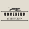 Momentum Search Group, LLC