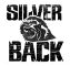 Silverback Artist Management