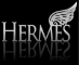 Hermes Worldwide