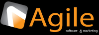 Agile Software and Marketing