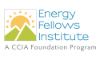 Energy Fellows Institute