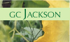 GC Jackson, Consulting