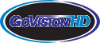 GoVision