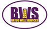 Bayou Well Services