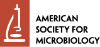 American Society for Microbiology