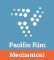 Pacific Rim Mechanical