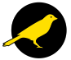 Canary Foundation