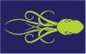 Kraken Boardsports