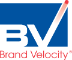 Brand Velocity, Inc.