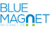 Blue Magnet Interactive