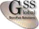 Global SemiFab Solutions