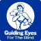 Guiding Eyes for the Blind