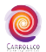 Carrollco Marketing Services