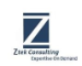 Ztek Consulting, Inc