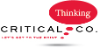 Critical Thinking Company