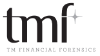 TM Financial Forensics LLC