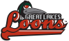 Great Lakes Loons