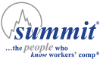 Summit Consulting