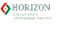 Horizon Computer Services Inc