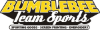 Bumblebee Team Sports