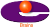 eBrains, Inc.