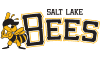 Salt Lake Bees