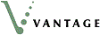 Vantage Technology Consulting Group