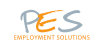 Professional Employment Solutions, Inc