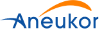 ANEUKOR LLC