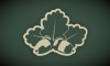 Armour Oaks Senior Living Community