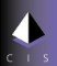 Corporate Information Systems