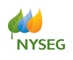 New York State Electric & Gas