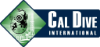 Cal Dive International