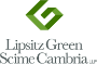 Lipsitz Green Scime Cambria LLP