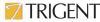 Trigent Software Inc