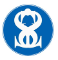 iSYS, LLC