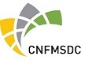 Central & North Florida Minority Supplier Development Council