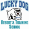 Lucky Dog Resorts