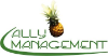 Ally Management, Inc.